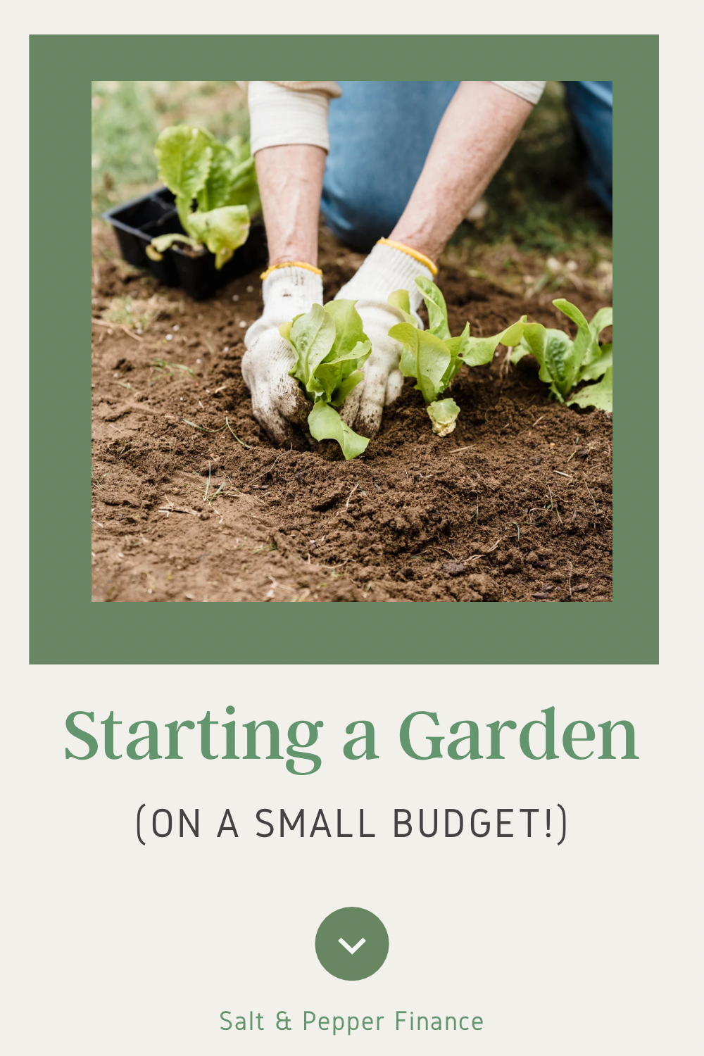 Starting-a-garden-on-a-budget-salt-and-pepper-finance